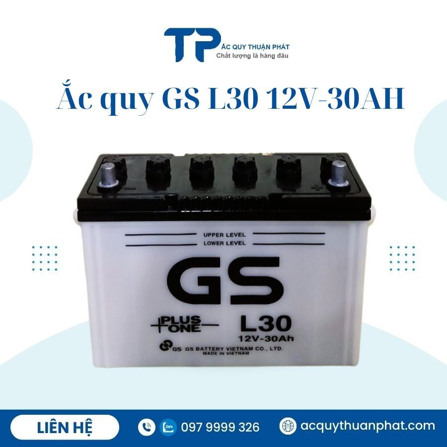 Ắc quy GS L30 12V-30AH