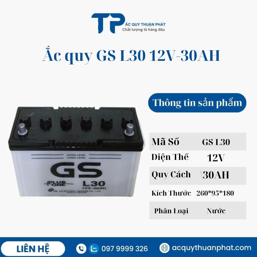 Ắc quy GS L30 12V-30AH
