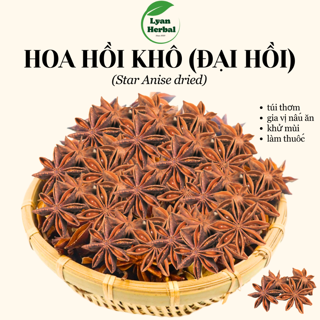 hoa hồi khô (đại hồi, tai vị) thảo mộc làm gia vị nấu ăn, trà thảo mộc mùi thơm hoa hồi xua đuỗi côn trùng