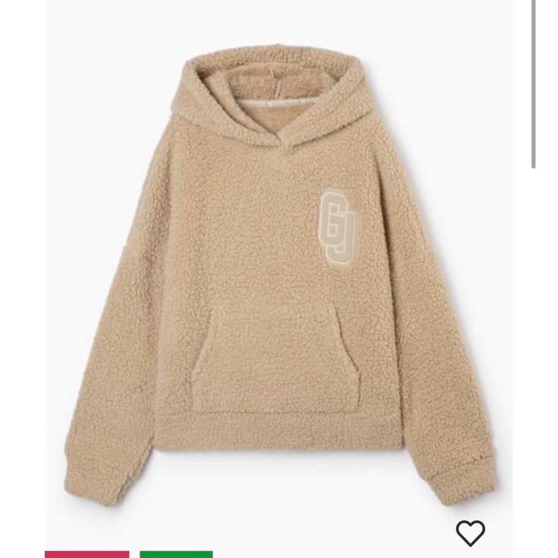 Áo thu đông hoodie Lông nhẹ xuất xịn
