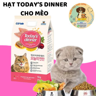 Hạt thức ăn cho mèo, hạt today dinner cho mèo con, mèo lớn gói 1kg