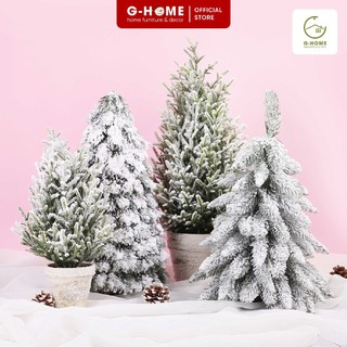 Cây thông phủ tuyết trang trí Noel Ghome đa dạng kiểu dáng, hàng có sẵn, bàn làm việc, phòng khách, cửa hàng CTTUYET