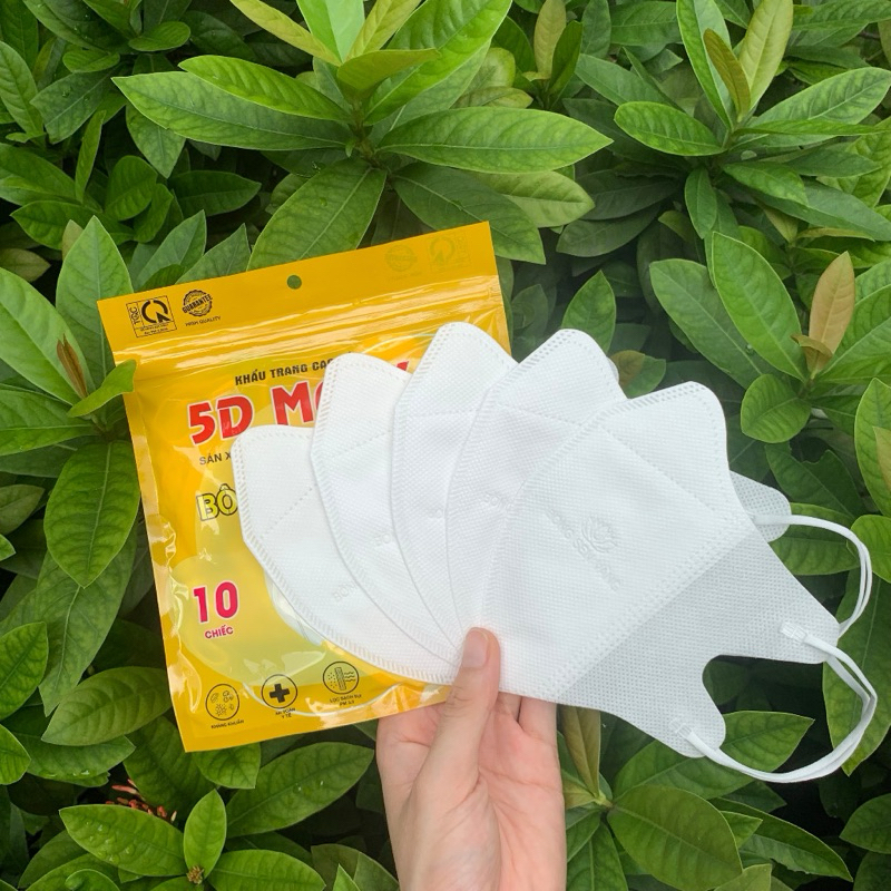 Thùng 100c khẩu trang 5D