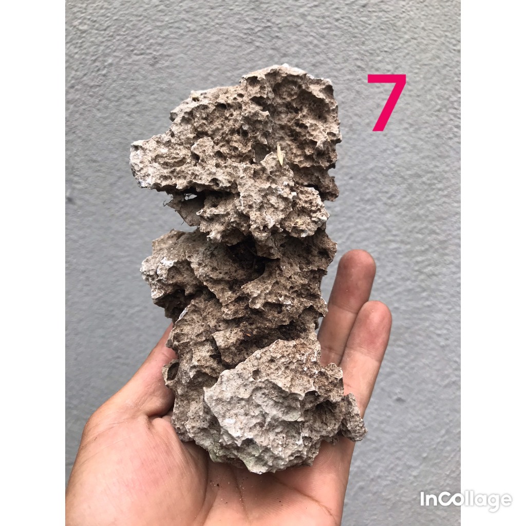 Đá nghệ thuật ghép cây cảnh bonsai hoặc chơi thủy sinh, thả bể cá...