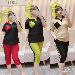 BỘ LỮNG THUN GÂN PHỐI CÁ TÍNH BIGSIZE Nữ 68-95kg