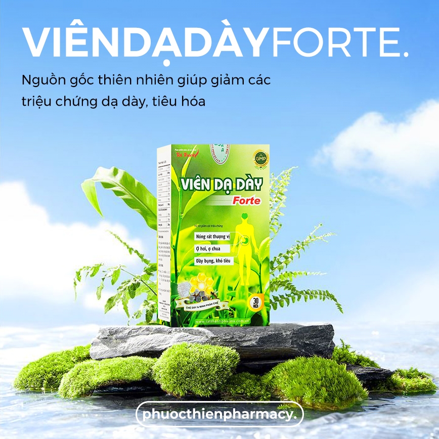 Viên Dạ Dày Forte Viên uống hỗ trợ viêm loét trào ngược dạ dày Tất Thành cao chè dây hộp 30 Viên