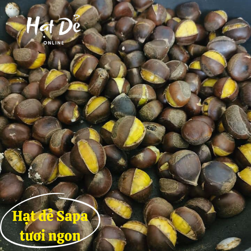 Hạt Dẻ Tươi ruột vàng, 1kg hạt loại 1, ngon chắc mẩy