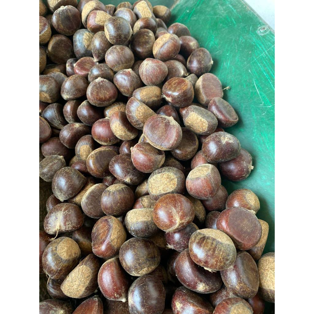 Hạt Dẻ Tươi ruột vàng, 1kg hạt loại 1, ngon chắc mẩy