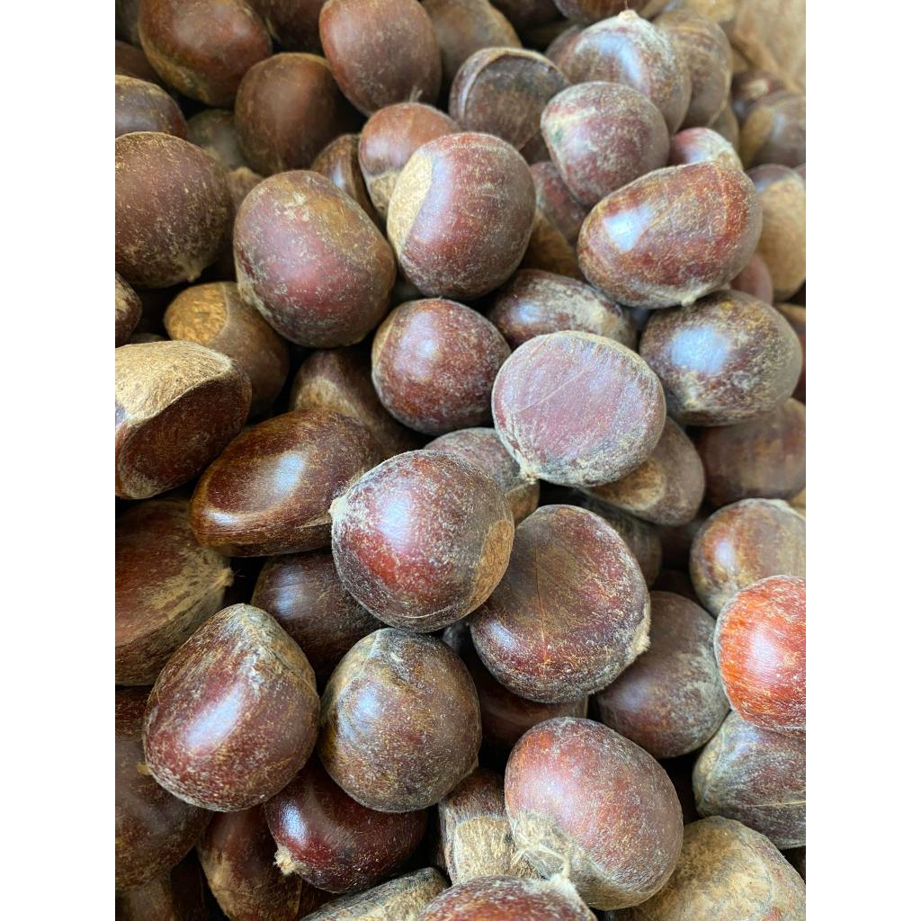 Hạt Dẻ Tươi ruột vàng, 1kg hạt loại 1, ngon chắc mẩy