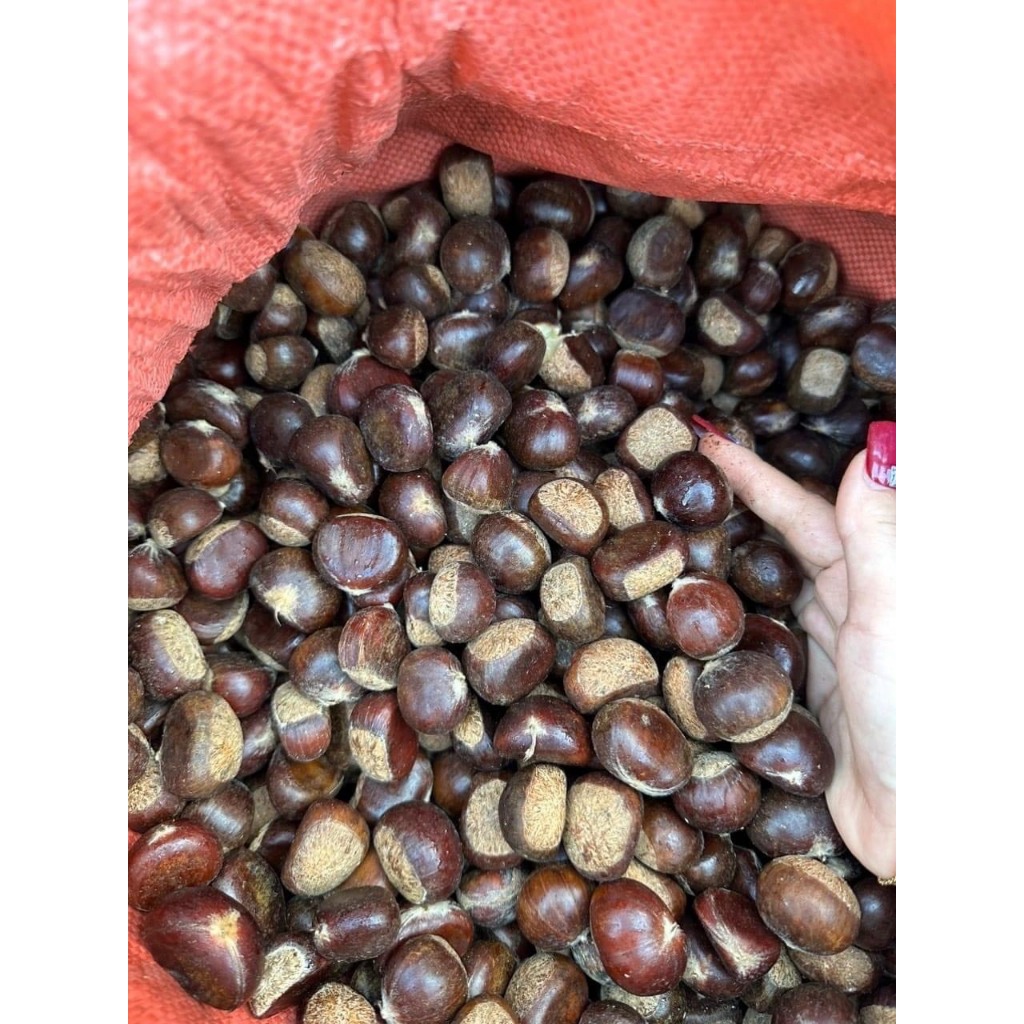 Hạt Dẻ Tươi ruột vàng, 1kg hạt loại 1, ngon chắc mẩy