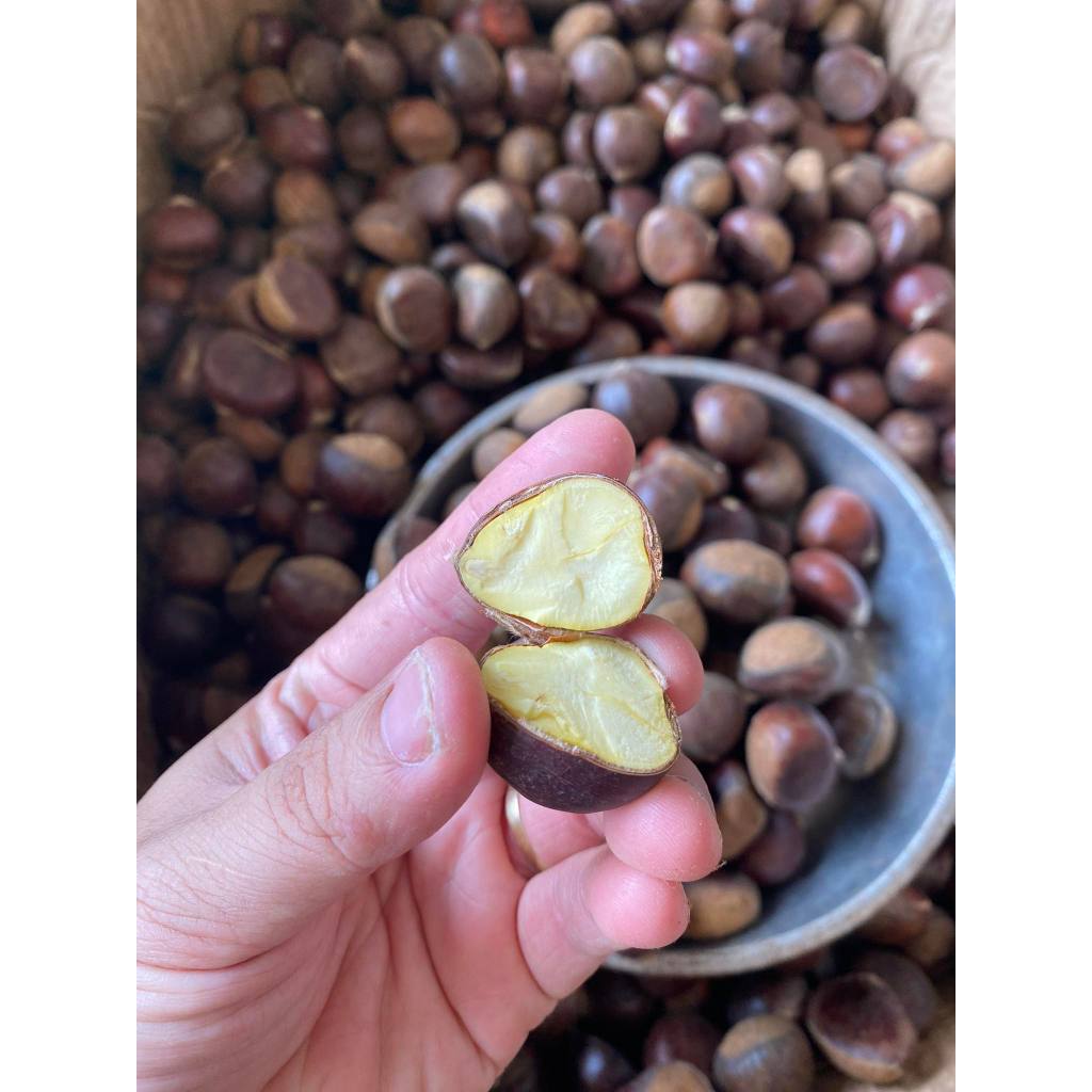 Hạt Dẻ Tươi ruột vàng, 1kg hạt loại 1, ngon chắc mẩy