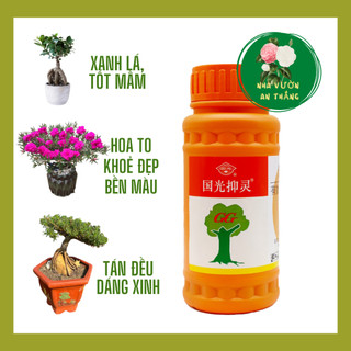 Chất làm lùn, mập cây, xanh lá cho cây trồng, hoa và cây cảnh dạng nước