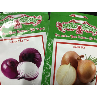 Hạt giống hành tây - hành tây tím
