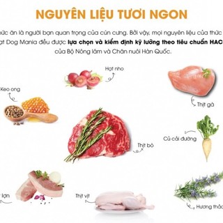 Hạt Today's Dinner 5kg cho chó trưởng thành - Giảm mùi hôi chất thải, mượt lông