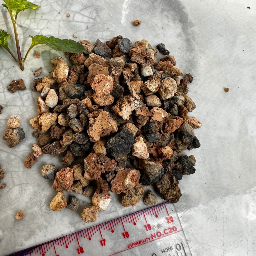 Xỉ than XA07 trải nền hỗ trợ lọc sạch nước hồ cá