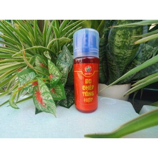 Dụ chép tổng hợp