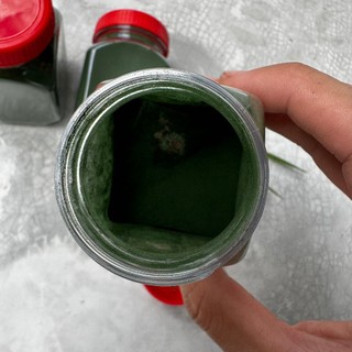 Thức ăn cho cá tép cảnh [tảo bột]