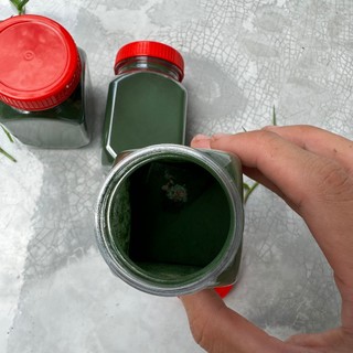 Thức ăn cho cá tép cảnh [tảo bột]