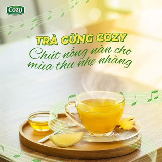 Trà Gừng hòa tan Hot Ginger Cozy