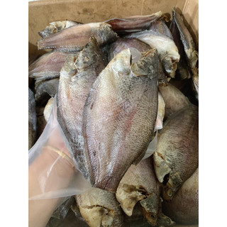 Khô cá sặc bổi cà mau, 500gram size 8 con 1kg sạp khô mẹ đậu đỏ, sạp khô minhanh cà mau