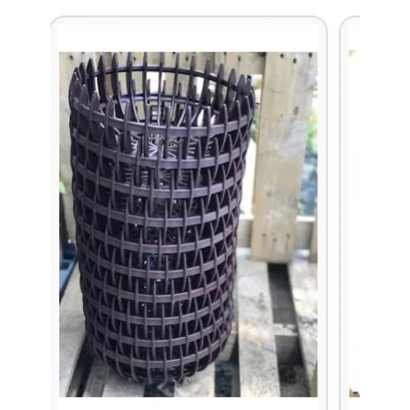 Chậu lan bí  size 30 size 32