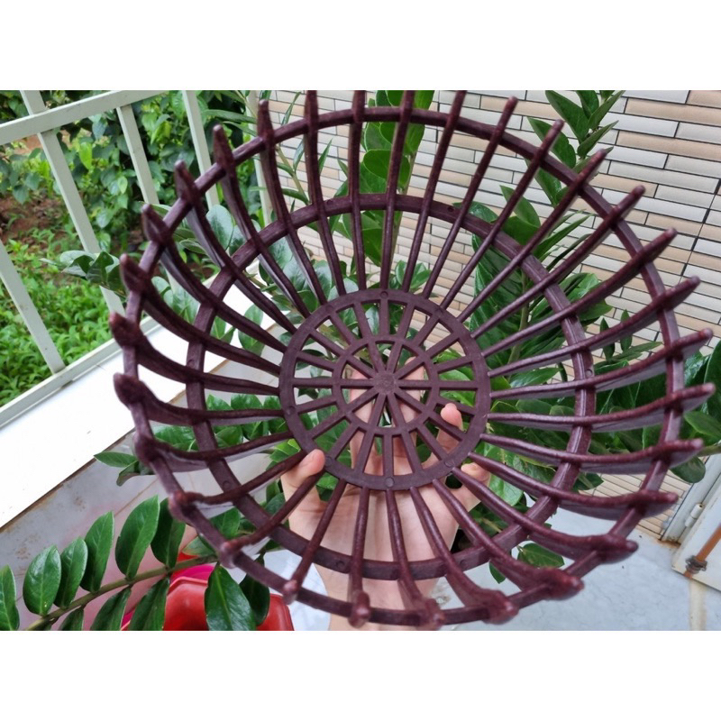 Combo 10 cái chậu Lan bí nhựa size 26