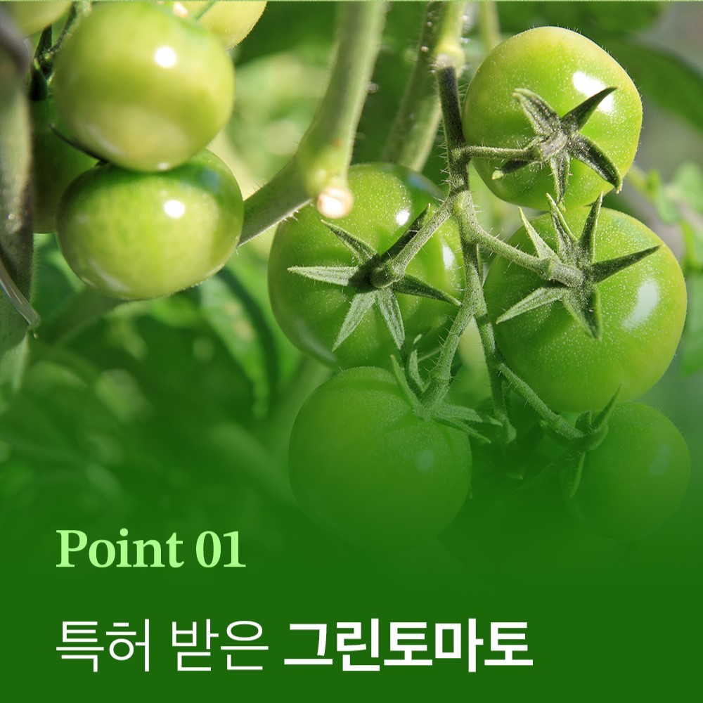 Toner cà chua xanh SUNG BOON Green Tomato Pore Lifting Ampoule Toner