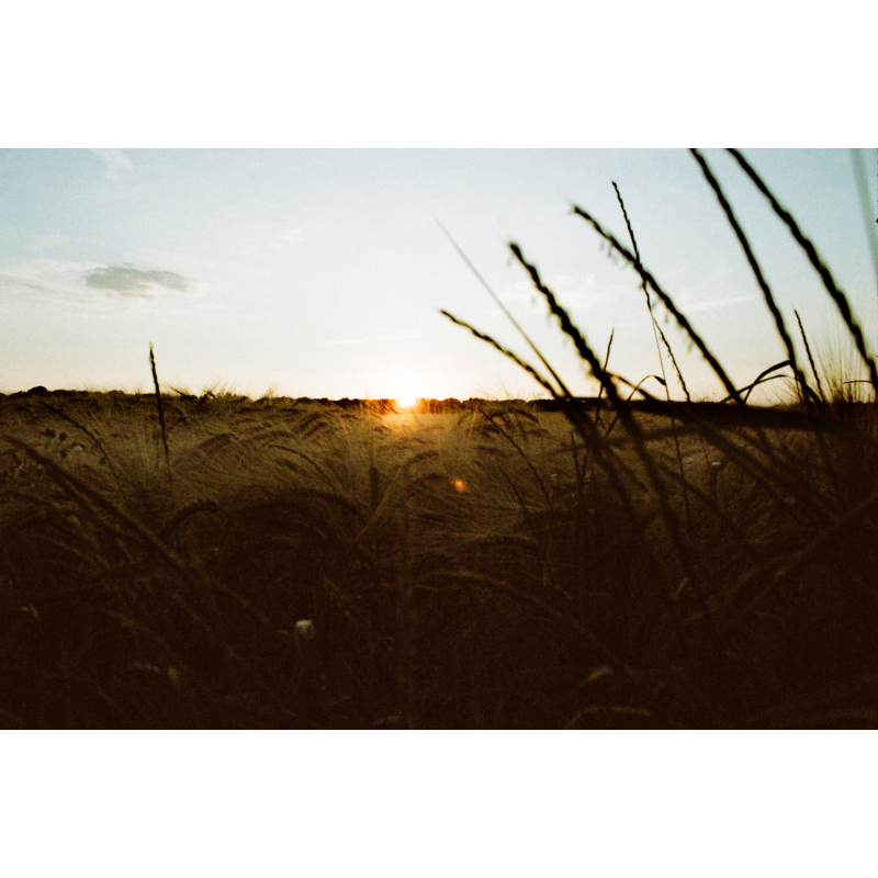 Phim KONO! Color ISO 400 Tách Hộp, Màu Color, 135/35mm x 36 Kiểu, In Date Cho Máy Chụp Ảnh Film - LIIQ Flash