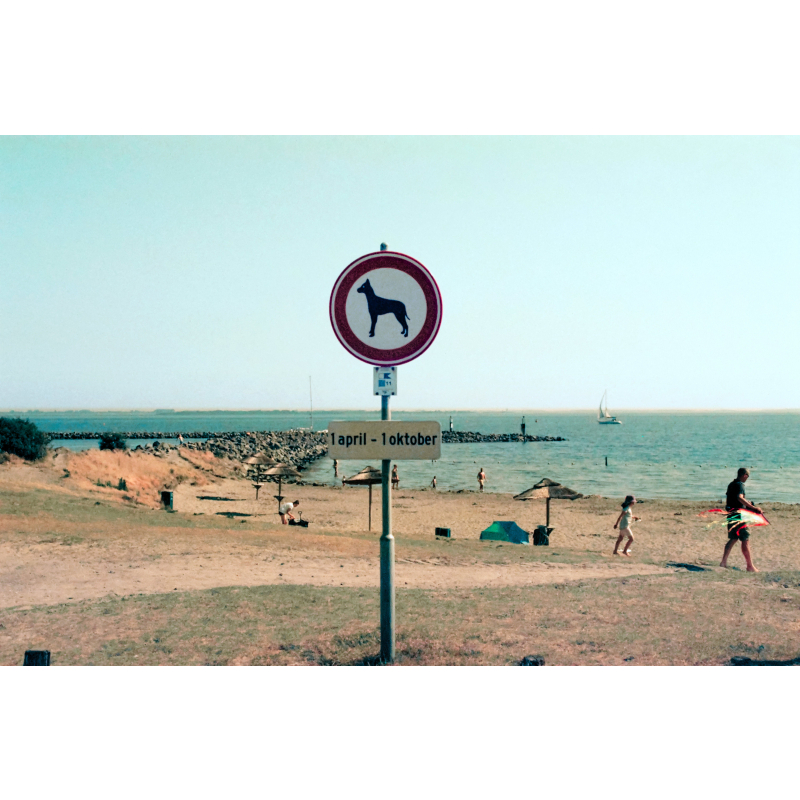 Phim KONO! Color ISO 400 Tách Hộp, Màu Color, 135/35mm x 36 Kiểu, In Date Cho Máy Chụp Ảnh Film - LIIQ Flash