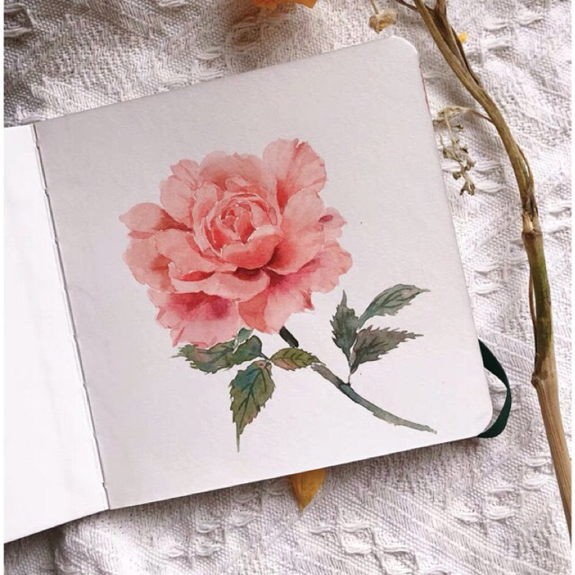 Sổ vẽ màu nước MH Art 300gsm bìa xanh lá xinh xắn