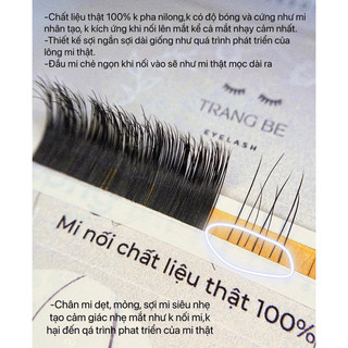 Mi chồn thật 100%