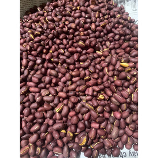 Đậu phộng đỏ rang sẵn hũ 200g