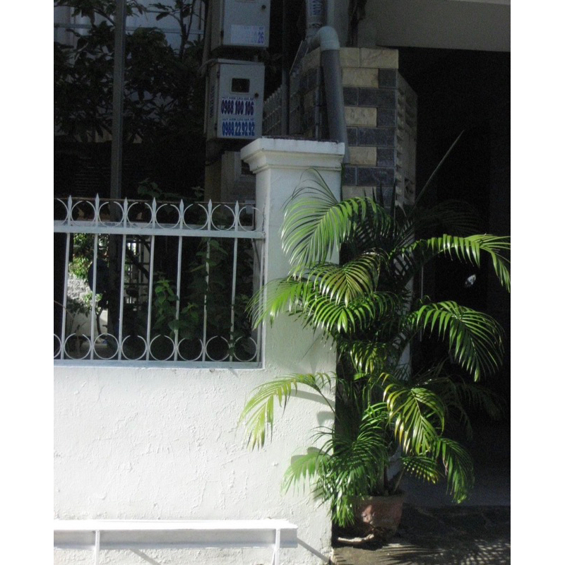 Máy ảnh Canon Digital 70 màu ảnh ám vàng nhẹ Vintage