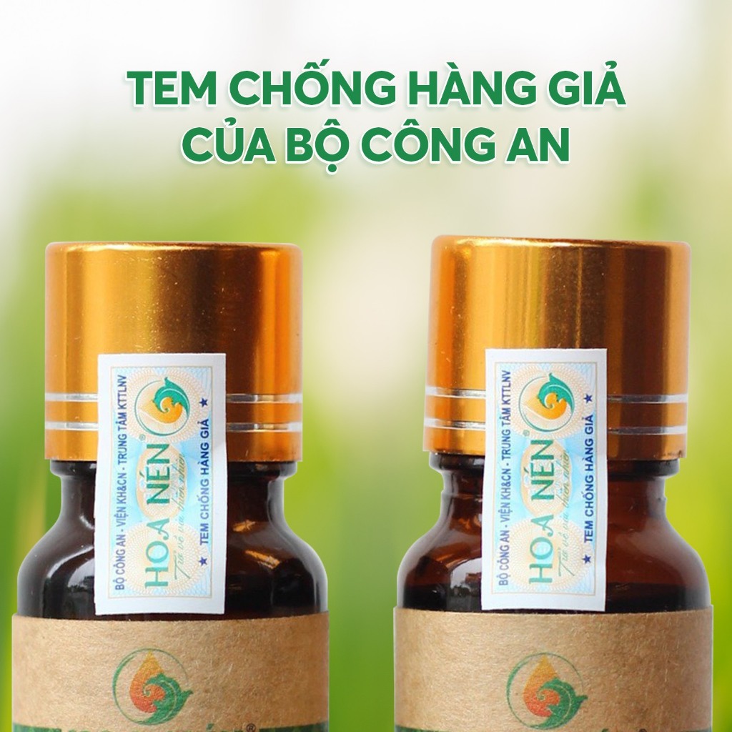 Tinh dầu Gừng nguyên chất - Hoa Nén - Hương nồng ấm, nhiều ứng dụng tốt - 5ml