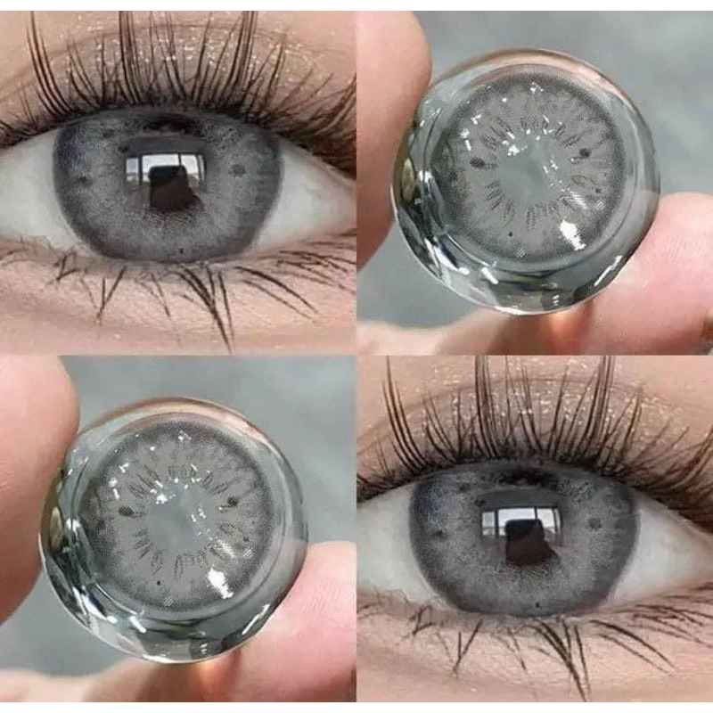 Mã Lay - Gray
