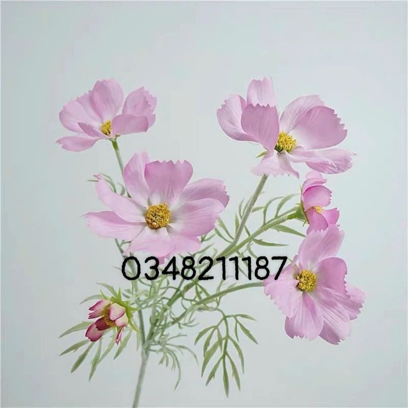 Hoa giả - Hoa Cúc Giả  - Hoa Sao nháy mimishophoalua hoa giả phong cách hiện đại trang trí nhà cửa