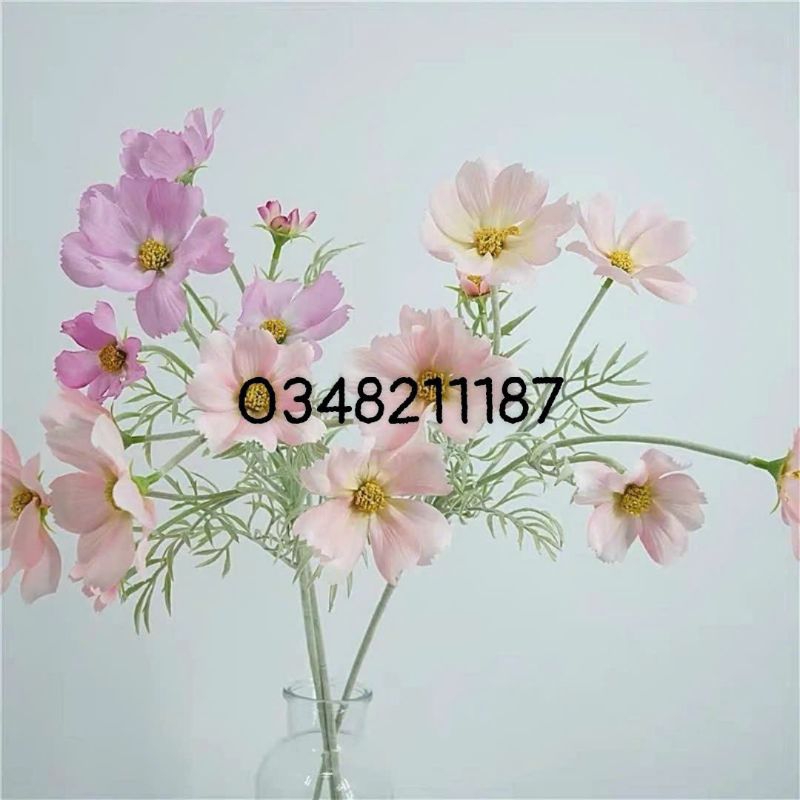 Hoa giả - Hoa Cúc Giả  - Hoa Sao nháy mimishophoalua hoa giả phong cách hiện đại trang trí nhà cửa