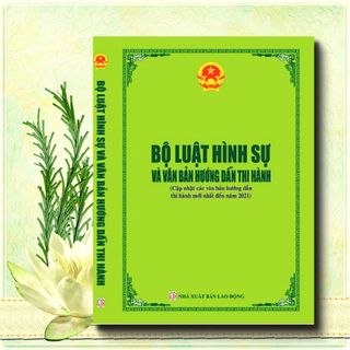 Sách - bộ luật hình sự và văn bản hướng dẫn thi hành