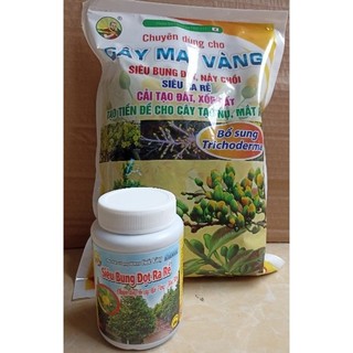 Combo chăm sóc mai vàng sau khi ra hoa