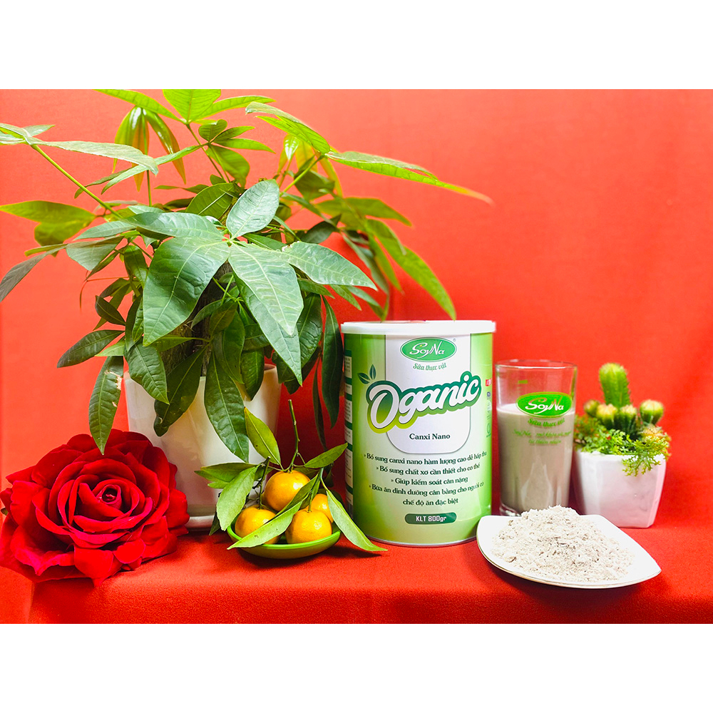 Sữa Hạt Oganic Canxi Nano SoyNa 800g - chính hãng