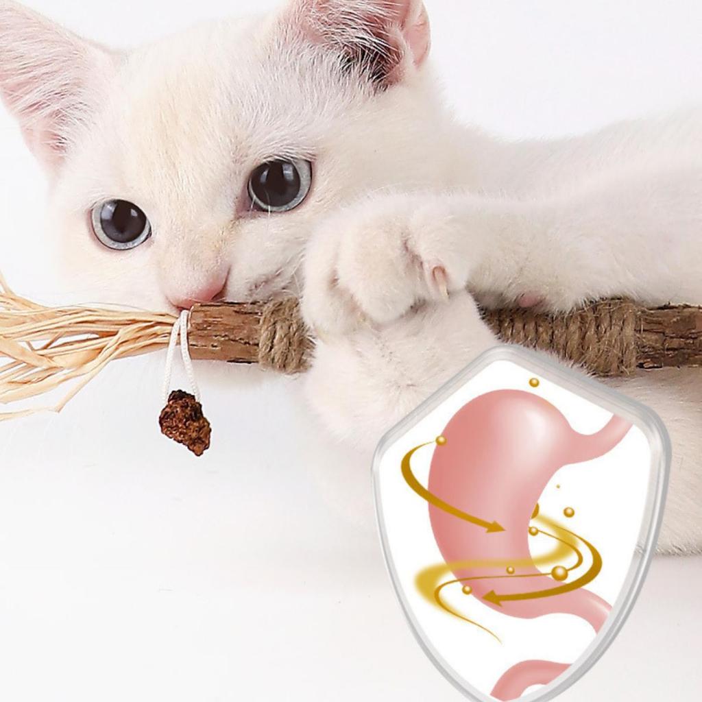 QUE GỖ CATNIP CHO MÈO GẶM SẠCH RĂNG XÃ STRESS