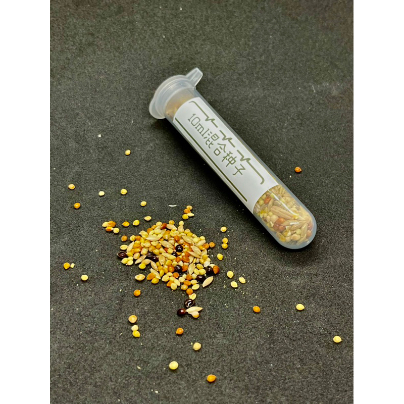 Hạt cho kiến ăn