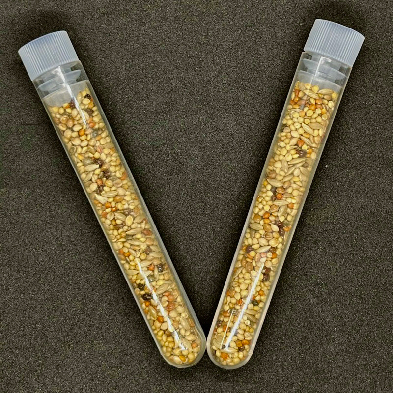 Hạt cho kiến ăn