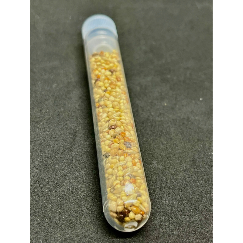 Hạt cho kiến ăn