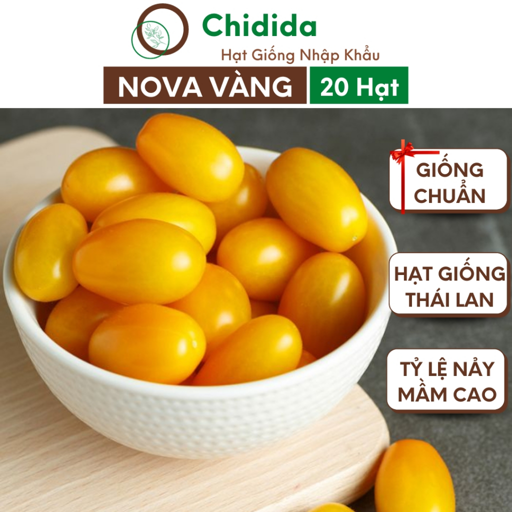 Hạt giống cà chua nova Chidida giống cà chua trái cây vàng F1 Thái Lan gói 20 hạt chịu nhiệt kháng bệnh tốt
