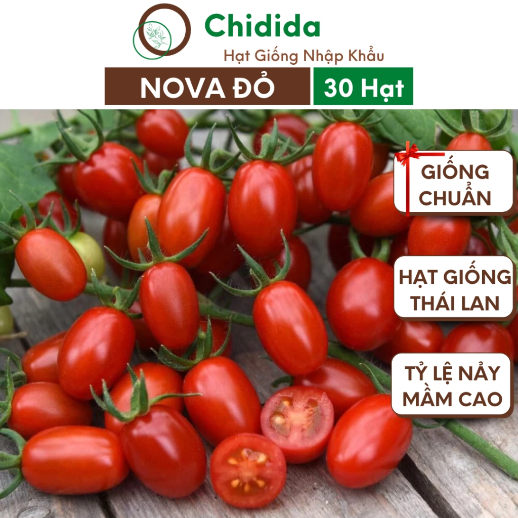 Hạt giống cà chua nova đỏ Chidida cà chua trái cây giống F1 Thái Lan gói 30 hạt kháng bệnh sinh trưởng khỏe