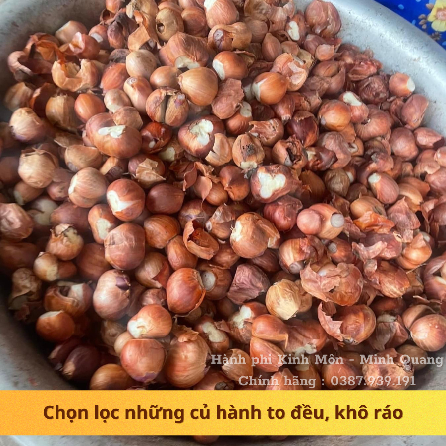 HÀNH CỦ TA KINH MÔN LOẠI NGON NHẤT  - CỦ TO ĐỀU, KHÔNG ÓP, KHÔ VÀ KHÔNG CHẤT BẢO QUẢN.