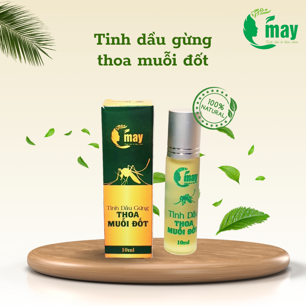 TINH DẦU GỪNG THOA, BÔI, MUỖI ĐỐT, CON TRÙNG CẮN – DẦU THOA MUỖI ĐỐT TRÁNH MUỖI 10ML