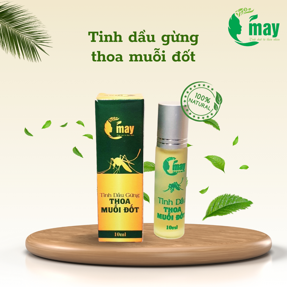 TINH DẦU GỪNG THOA, BÔI, MUỖI ĐỐT