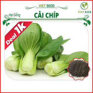 Deal 1k - hạt giống cải chíp gói 100 hạt - hạt giống 4 mùa